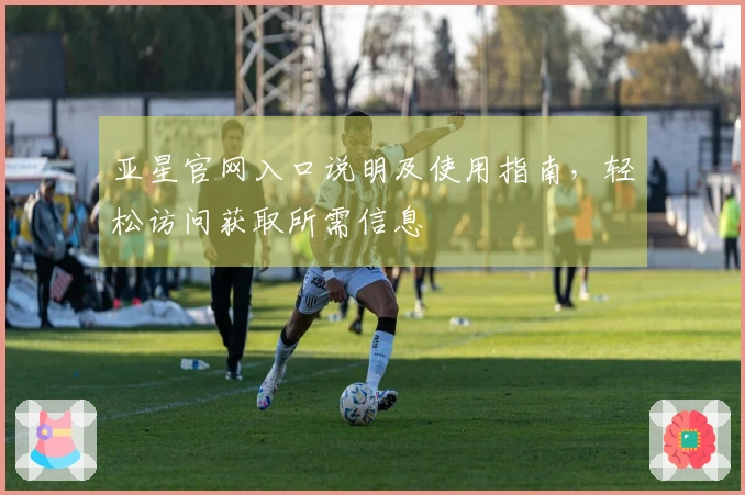 亚星官网入口说明及使用指南，轻松访问获取所需信息